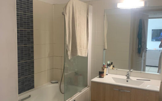 A saisir bel appartement T2 centre ville ST ANDRE